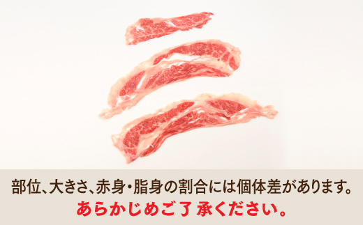 B304.【訳あり！】博多和牛しゃぶすき用（1kg）