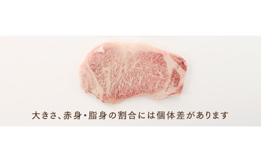 AB343.博多和牛サーロインステーキ（250g）