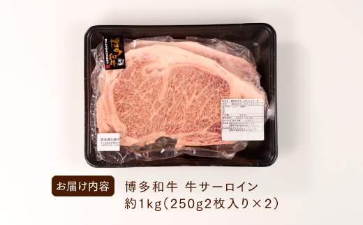 D040.博多和牛サーロインステーキセット（1kg）