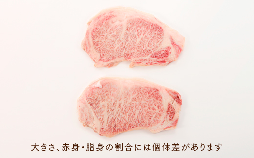 D040.博多和牛サーロインステーキセット（1kg）