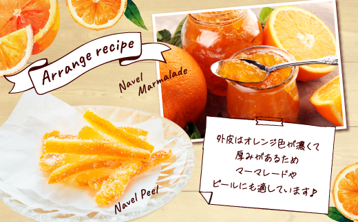 AA077.ネーブル（3kg程度）／2026年12月～2027年1月配送