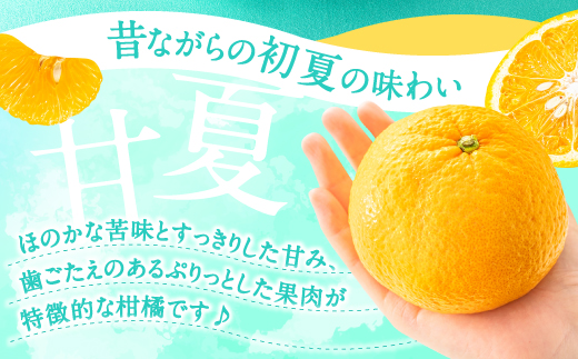 AA093.遖丞イ。譟第ゥ倡視蝗ス繝サ讓ケ謌舌j螳檎溽曝螟擾シ冗エ8kgシ2027蟷エ4譛茨ス5譛磯埼∽コ亥ョ夲シ