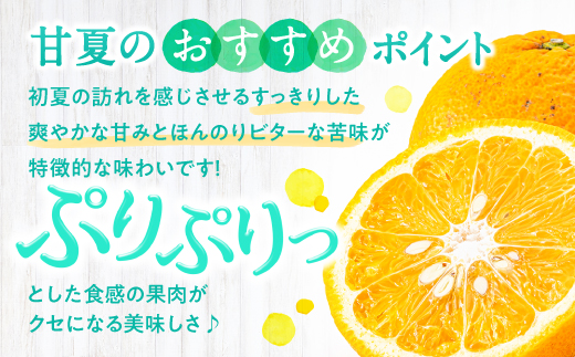 AA093.遖丞イ。譟第ゥ倡視蝗ス繝サ讓ケ謌舌j螳檎溽曝螟擾シ冗エ8kgシ2027蟷エ4譛茨ス5譛磯埼∽コ亥ョ夲シ