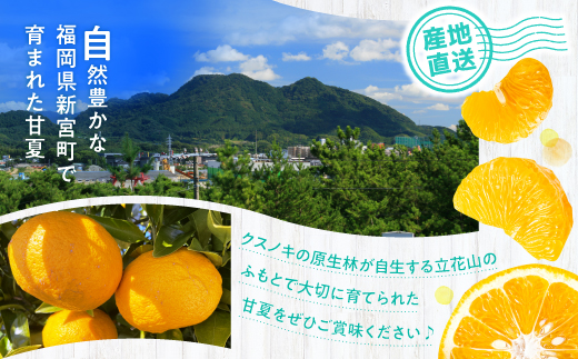 AA093.遖丞イ。譟第ゥ倡視蝗ス繝サ讓ケ謌舌j螳檎溽曝螟擾シ冗エ8kgシ2027蟷エ4譛茨ス5譛磯埼∽コ亥ョ夲シ