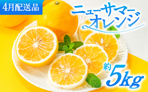 AA115.福岡柑橘王国.ニューサマーオレンジ約5kg／2027年4月配送