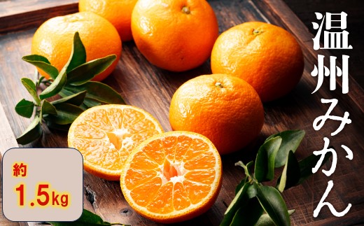 ZF170.温州みかん（1.5kg程度）／2026年11月～2027年1月配送