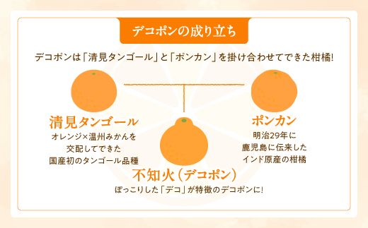 ZG257.縲先乖蟷エ繧ょ、ァ莠コ豌励代ョ繧ウ繝昴Φシ1.5kg遞句コヲシ会シ2027蟷エ2譛茨ス3譛磯埼