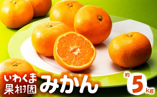 AA216.ããããŸææš¹åããçŽéåã®æž©å·ã¿ããïŒçŽ5kgïŒïŒ2025幎9æäžæ¬ïœ2026幎1æäžæ¬çºéäºå®â
äºçŽåâ