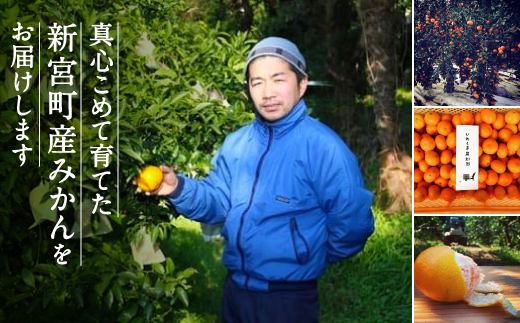 AA216.ããããŸææš¹åããçŽéåã®æž©å·ã¿ããïŒçŽ5kgïŒïŒ2025幎9æäžæ¬ïœ2026幎1æäžæ¬çºéäºå®â
äºçŽåâ