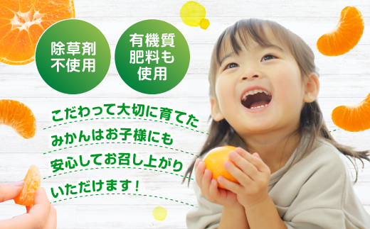 AA216.ããããŸææš¹åããçŽéåã®æž©å·ã¿ããïŒçŽ5kgïŒïŒ2025幎9æäžæ¬ïœ2026幎1æäžæ¬çºéäºå®â
äºçŽåâ