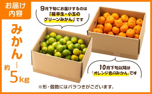 AA216.ããããŸææš¹åããçŽéåã®æž©å·ã¿ããïŒçŽ5kgïŒïŒ2025幎9æäžæ¬ïœ2026幎1æäžæ¬çºéäºå®â
äºçŽåâ