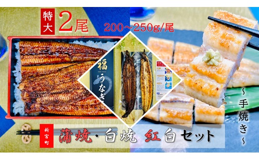 AF064.うなぎ蒲焼とうなぎ白焼食べ比べ紅白セット