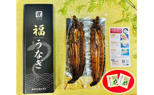 H050.【全4回定期便】国産うなぎ蒲焼2尾（計400～500g）