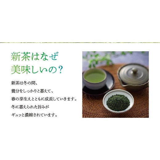 A1502.【新茶】八女星野茶（120g×2缶）／2025年5月～7月中旬頃発送【八女茶】