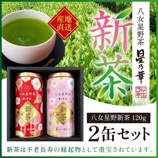 A1502.【新茶】八女星野茶（120g×2缶）／2025年5月～7月中旬頃発送【八女茶】