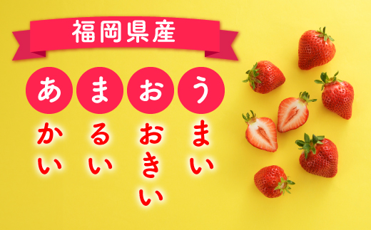 人気１位獲得謝礼品★限定品★博多あまおう約１，０８０g（先行受付／２０２７年２月以降発送）.A1609【あまおう】