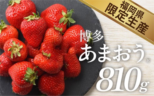ZI368.人気１位獲得謝礼品★限定品★博多あまおう約８１０g（先行受付．２０２７年２月以降発送）【あまおう】