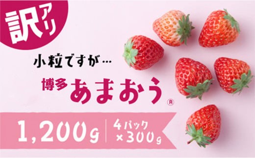 【訳あり.限定品】博多あまおう.小粒ですが約１２００g（先行受付．２０２７年２月以降発送）【あまおう】.AB380