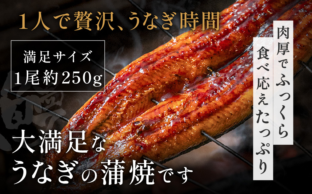 ZI369.縺縺ェ縺手調辟シ縺1蟆セ繧サ繝繝茨シ育エ250gテ1蟆セシ