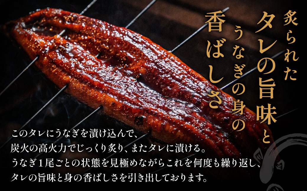 AB573.縺縺ェ縺手調辟シ縺2蟆セ繧サ繝繝茨シ育エ250gテ2蟆セシ