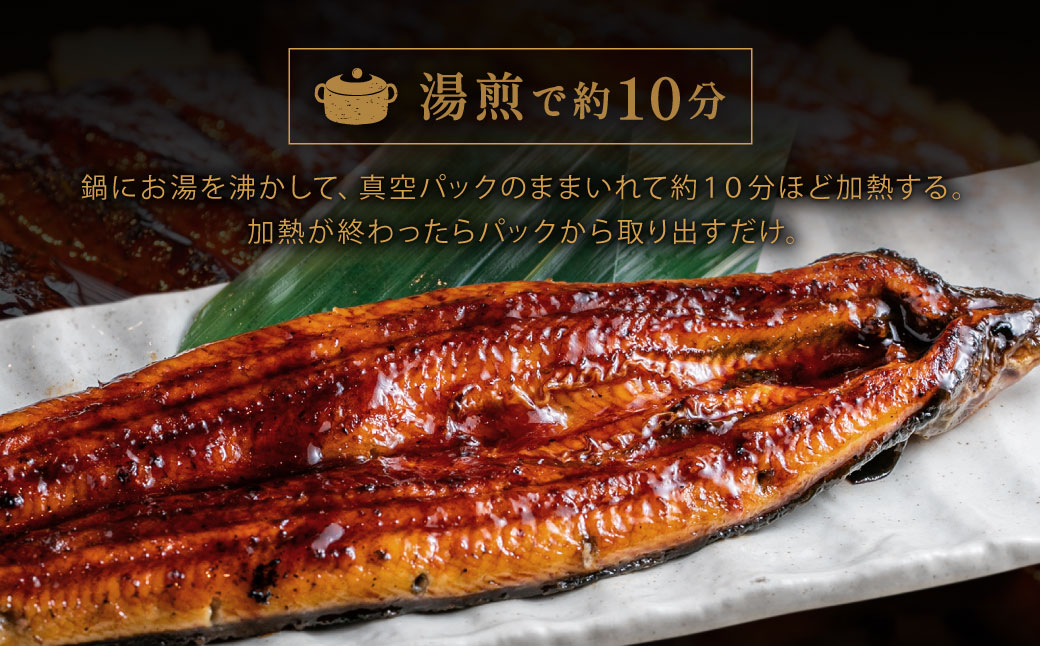 AB573.縺縺ェ縺手調辟シ縺2蟆セ繧サ繝繝茨シ育エ250gテ2蟆セシ