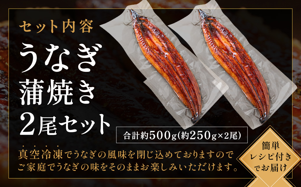 AB573.縺縺ェ縺手調辟シ縺2蟆セ繧サ繝繝茨シ育エ250gテ2蟆セシ