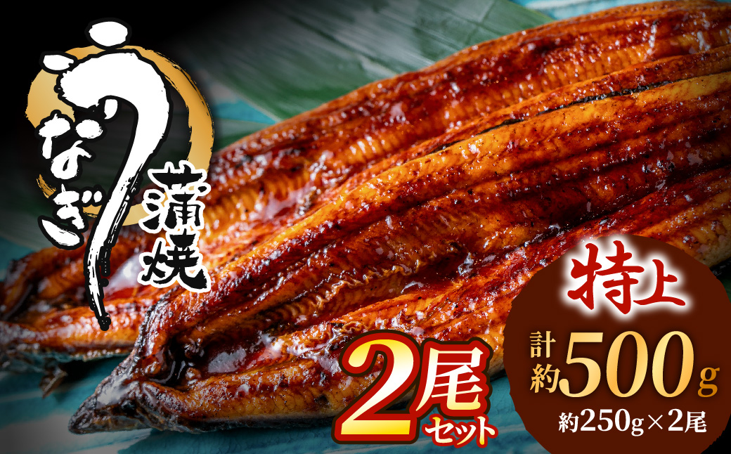 AB573.うなぎ蒲焼き2尾セット（約250g×2尾）