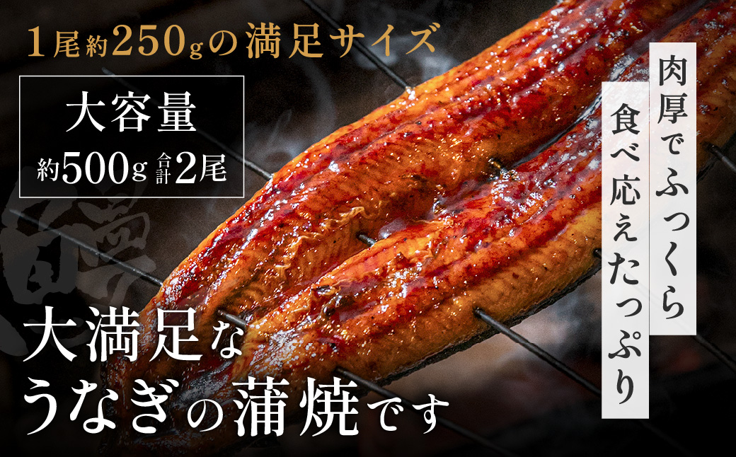 AB573.縺縺ェ縺手調辟シ縺2蟆セ繧サ繝繝茨シ育エ250gテ2蟆セシ
