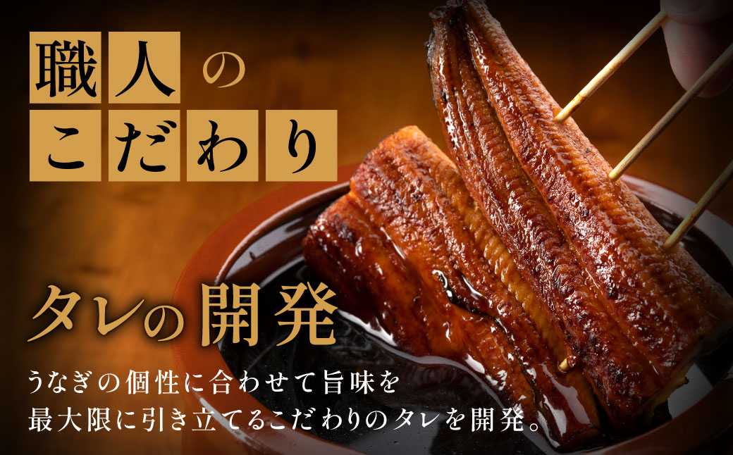 AB573.縺縺ェ縺手調辟シ縺2蟆セ繧サ繝繝茨シ育エ250gテ2蟆セシ