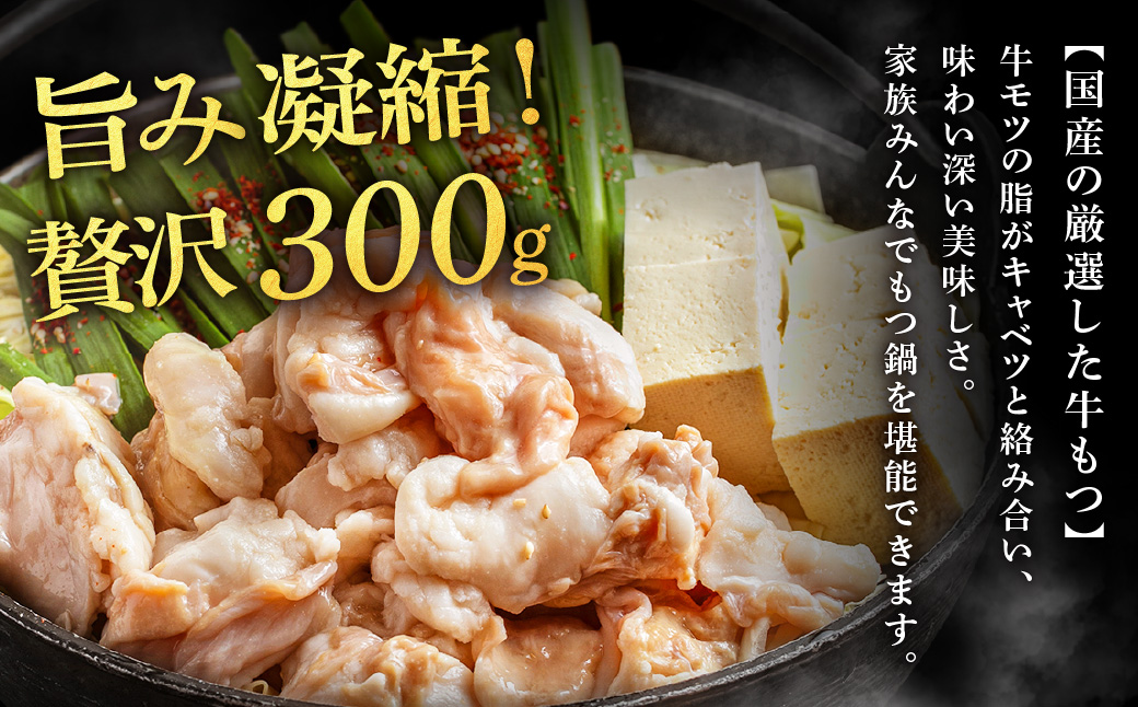 AA421.魚住商店【国産牛もつ使用】あごだし醤油もつ鍋セット2～3人前【もつ鍋・醤油味】