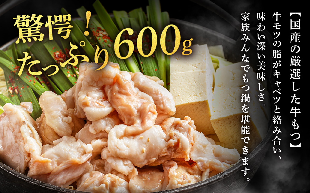 AE295.魚住商店【国産牛もつ使用】特製塩もつ鍋セット4～6人前・〆のチャンポン麺付き