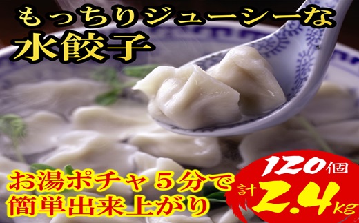 AB402.【小分けで便利な120個.計2.4kg】もっちりジューシーな水餃子