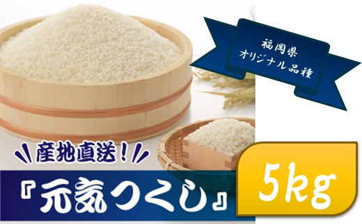 AE226.特Ａも獲得した自慢のお米『元気つくし』5kg【元気つくし】