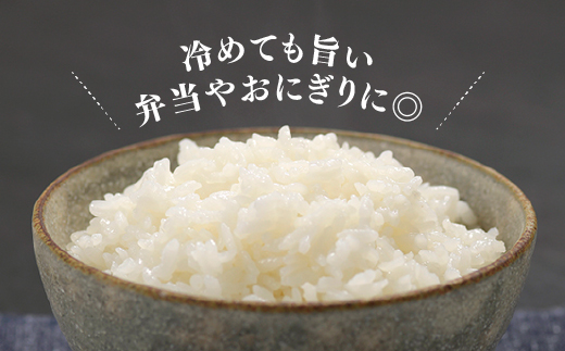 AE226.特Ａも獲得した自慢のお米『元気つくし』5kg【元気つくし】