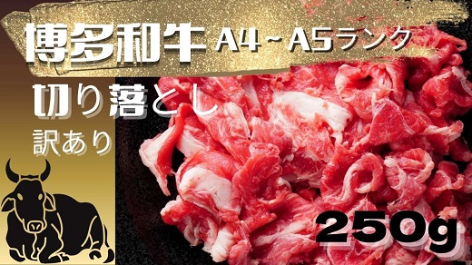 ZG280.訳あり！博多和牛A4～A5ランク切り落とし250g【博多和牛】