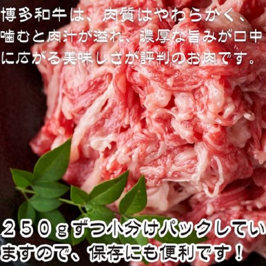 A1687.訳あり！博多和牛A4～A5ランク切り落とし500g（250g×2）【博多和牛】