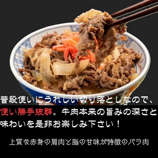 A1687.訳あり！博多和牛A4～A5ランク切り落とし500g（250g×2）【博多和牛】