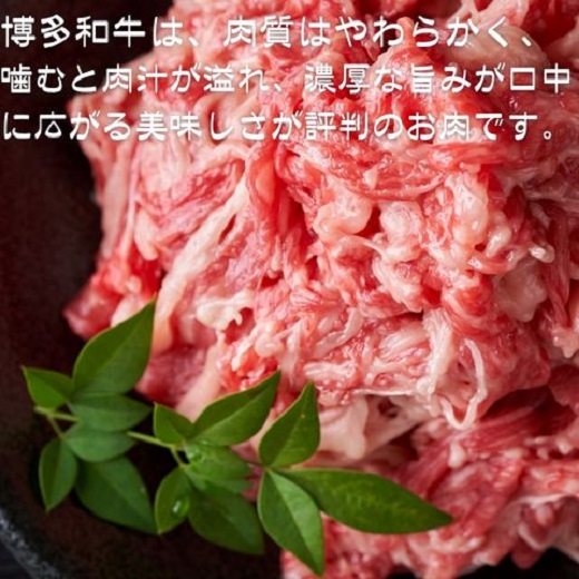 A1671.訳あり！博多和牛切り落とし250gと100％ミンチ（挽肉）300gセット【博多和牛】