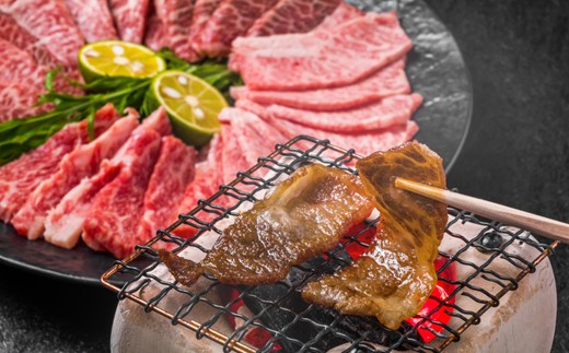 AD154.【A4～A5】博多和牛赤身モモ焼肉用約500g【博多和牛】