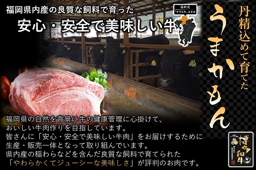 EA004.【全3回定期便】博多和牛ロースサイコロステーキ用400g【博多和牛】