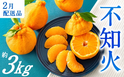 AA132.農家直送の不知火／約3kg（2027年2月発送予定)