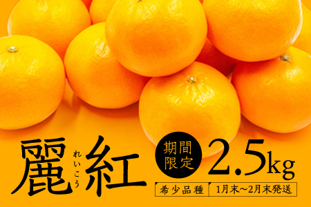 A511.福岡柑橘王国・麗紅(れいこう)／約２．５キロ(2023年1月末～2月末発送予定)