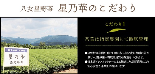 ZI213.【訳あり品】八女星野茶.深蒸し茶1100g（100g×11袋）