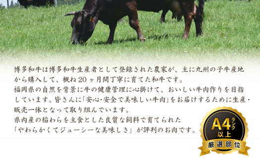 J066.【訳あり！】博多和牛しゃぶすき用（5kg）