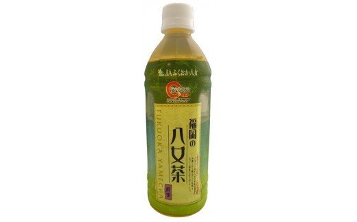 CC005.福岡八女茶のペットボトル.緑茶（５００ml×２４本）×３ヵ月