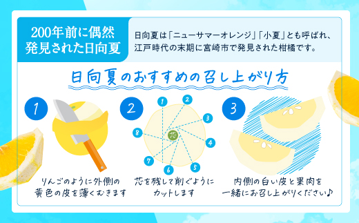 AA098.いわくま果樹園の「日向夏」約4kg／2025年4月発送予定