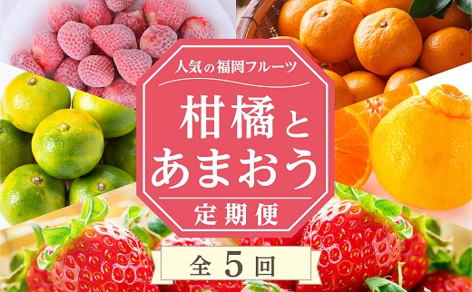 EG006.【人気の福岡フルーツ】柑橘とあまおう定期便