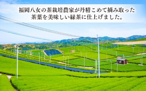 AC351.福岡八女茶のペットボトル.緑茶（５００ml×２４本）【八女茶】