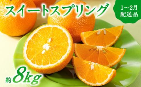 AA091.【予約受付・期間限定商品】福岡柑橘王国・スイートスプリング／約8kg(2027年1月～2月配送予定）