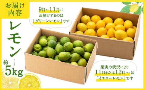 AA079.貴重な国産レモン.約5kg.新宮町産の逸品です／2024年9月～2025年2月発送予定